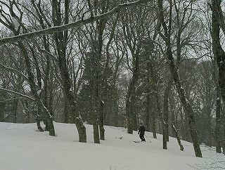 1520548622201.jpg