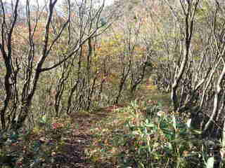 CA3I0126.jpg