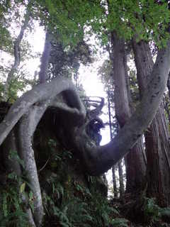 CA3I0128.jpg