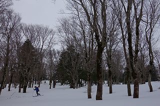 DSC00442.jpg