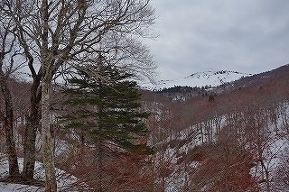 DSC00505.jpg