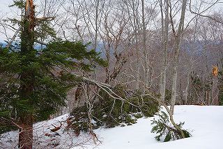 DSC00512.jpg
