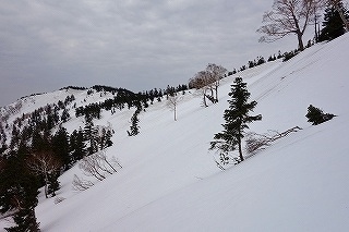 DSC00517.jpg
