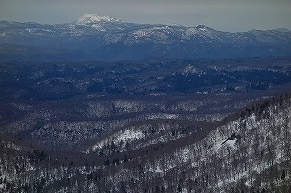 DSC00538.jpg