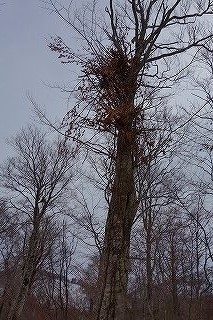 DSC00555.jpg