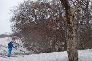DSC00622.jpg