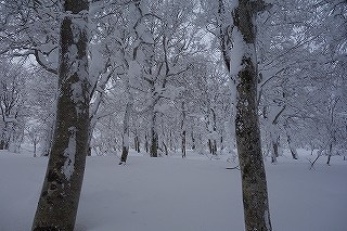 DSC01189.jpg