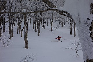 DSC01237.jpg
