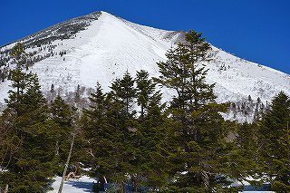 DSC03250.jpg