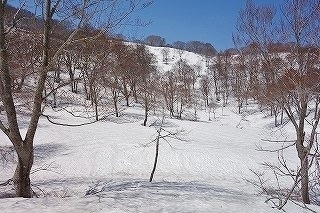 DSC03303.jpg