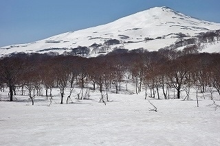 DSC03307.jpg