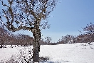 DSC03308.jpg