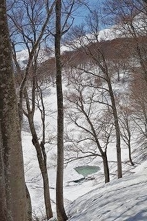 DSC03314.jpg