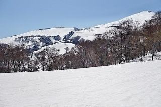 DSC03341.jpg
