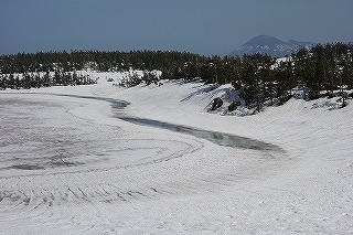 DSC03397.jpg