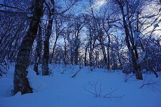 DSC03940.jpg