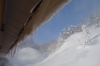 DSC04190.jpg