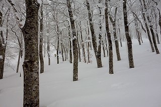 DSC04215.jpg