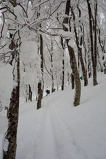 DSC04225.jpg