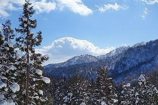 DSC04240.jpg