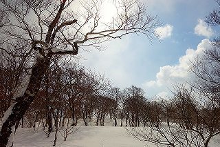 DSC04243.jpg