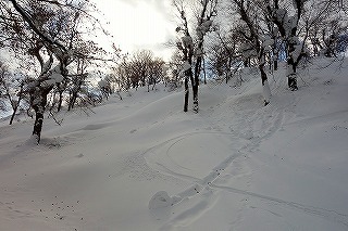DSC04256.jpg