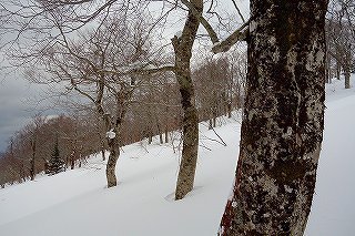 DSC04320.jpg