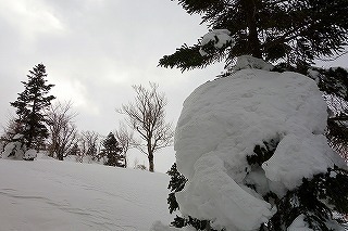 DSC04325.jpg