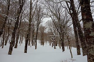 DSC04410.jpg