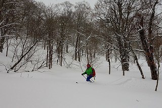 DSC04415.jpg