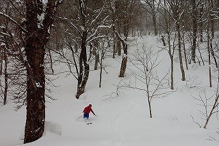 DSC04417.jpg