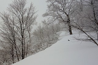 DSC04437.jpg