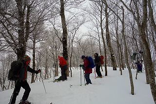 DSC04440.jpg