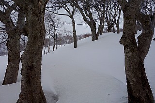 DSC04468.jpg