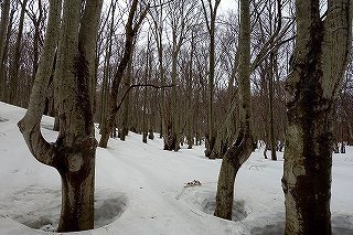 DSC04487.jpg