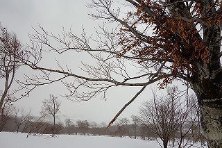 DSC04499.jpg