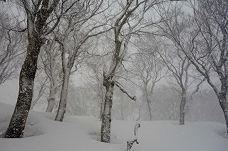 DSC04501.jpg