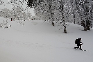 DSC04514.jpg