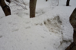 DSC04564.jpg