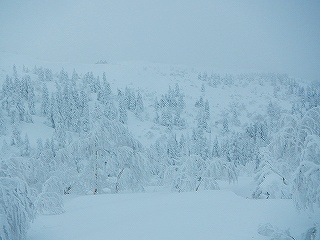 DSCN2827.jpg