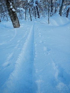DSCN2867.jpg