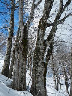 DSCN3454.jpg