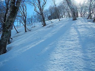 DSCN3471.jpg