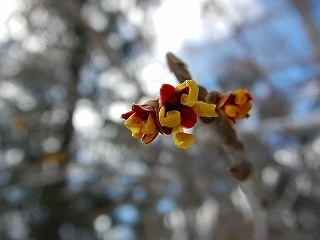 DSCN3479.jpg