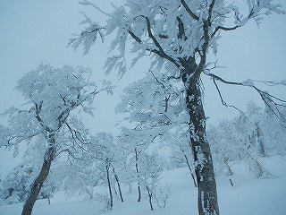 DSCN3495.jpg