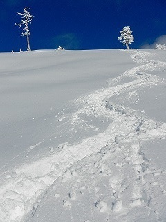 DSCN5758.jpg