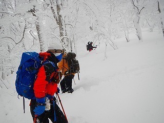 DSCN5902.jpg