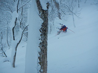 DSCN5908.jpg
