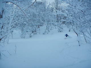 DSCN5916.jpg