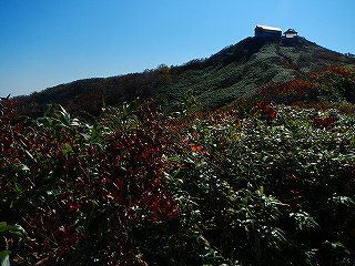 DSCN7546.jpg